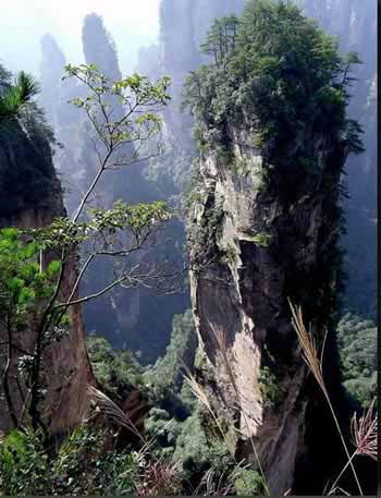 長沙出發(fā)到張家界溶洞奇觀黃龍洞、國家森林公園、袁家界、峰林之王天子山三日游（早班）