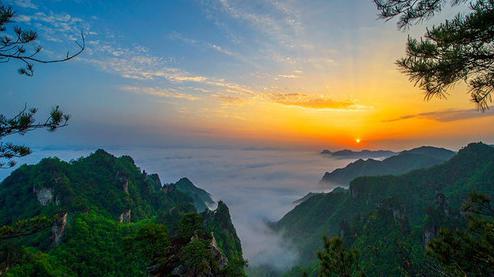 張家界森林公園（金鞭溪、袁家界、楊家界、天子山、十里畫廊）住山上2天1游（可看日出）