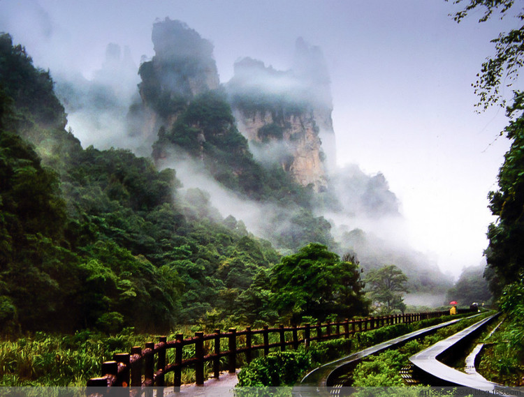 仙境中的張家界十里畫廊.jpg